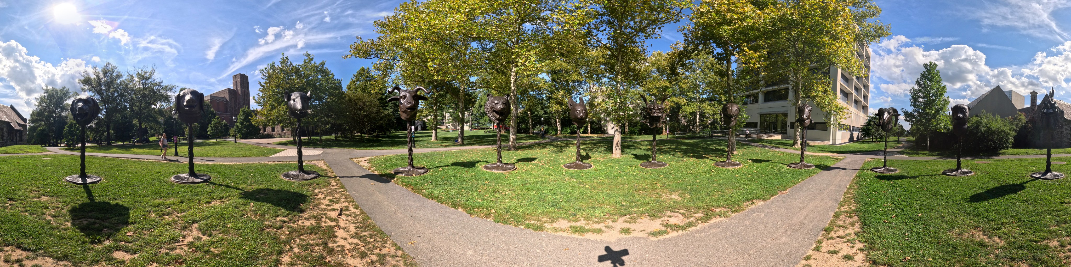 360° color, single shot from Alia360 3D